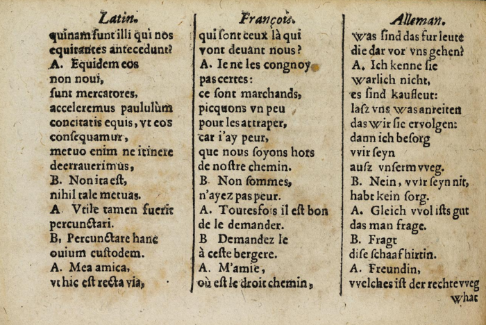 Projektbild_FSL_Simon_et_al