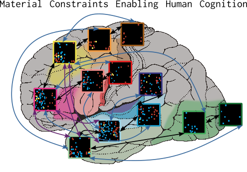 Example of a brain constrained network and its corresponding cortical areas. The network is used for simulating word processing and semantic learning in the human brain. For explanation, please see text below (adapted from Pulvermüller et al., 2021).
