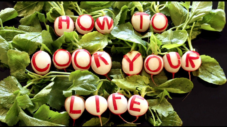 How to Cook Your Life © megaherz