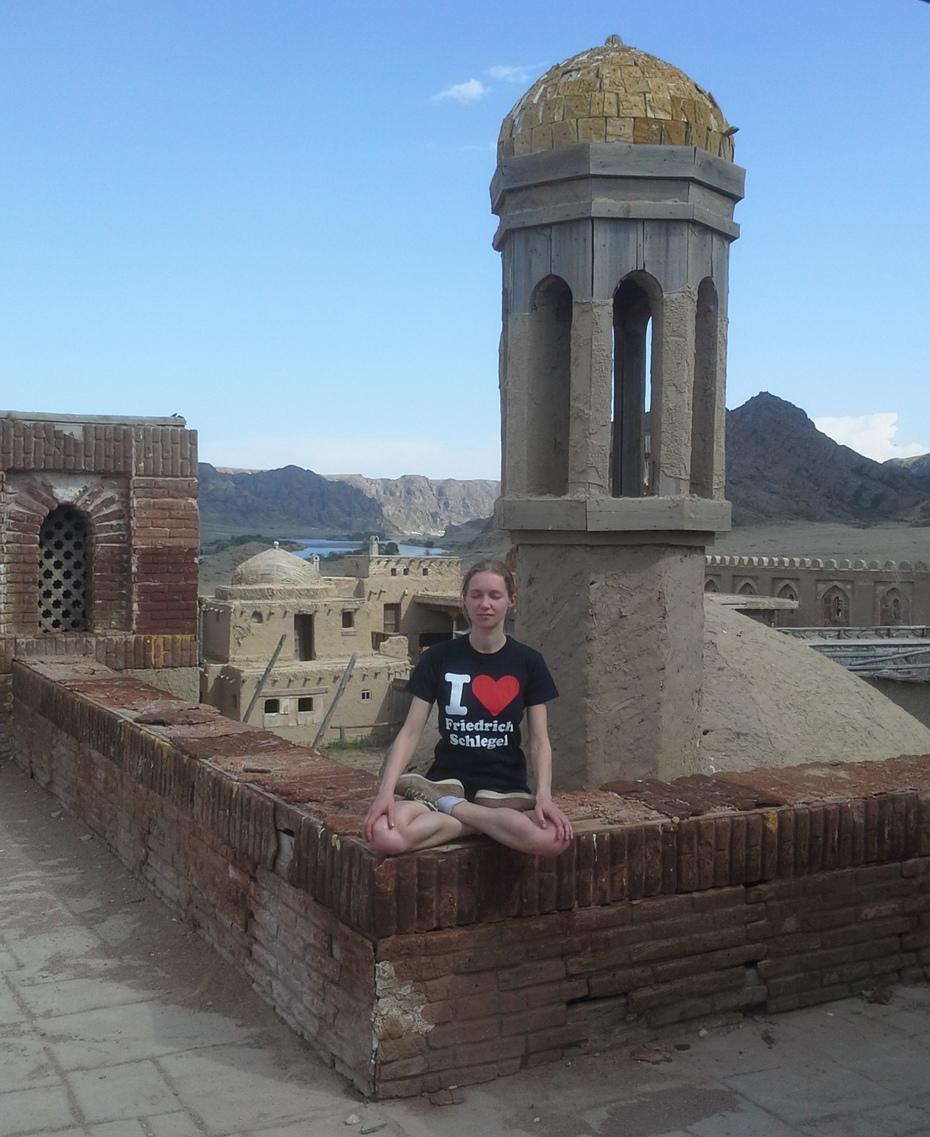 Schlegel Transnational