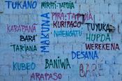 Sprachfamilien am Rio Negro