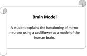 Banner_Brain Model