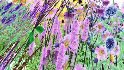 Pollinator Pathmaker